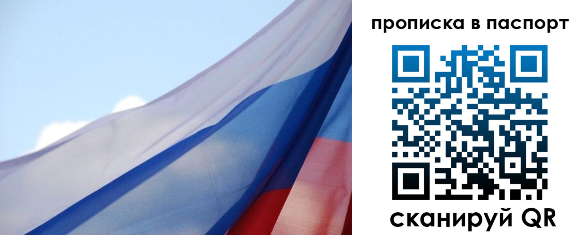 прописка 2025 в Кольчугино